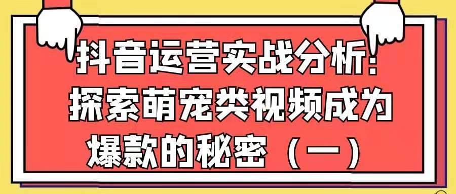 抖音运营实战分析——探索萌宠类视频成为爆款的秘密