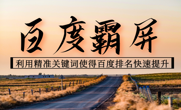 百度霸屏引流课：利用精准关键词使得百度排名快速提升