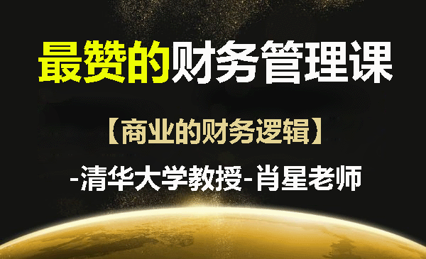 最赞的财务管理课【商业的财务逻辑】-清华大学教授-肖星老师